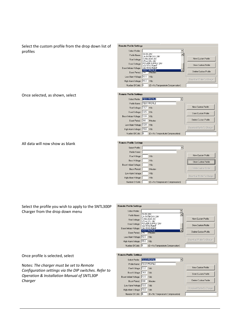 Deleting custom profiles, Applying custom profiles | Computronic Controls Sentinel 300P User Manual | Page 15 / 22