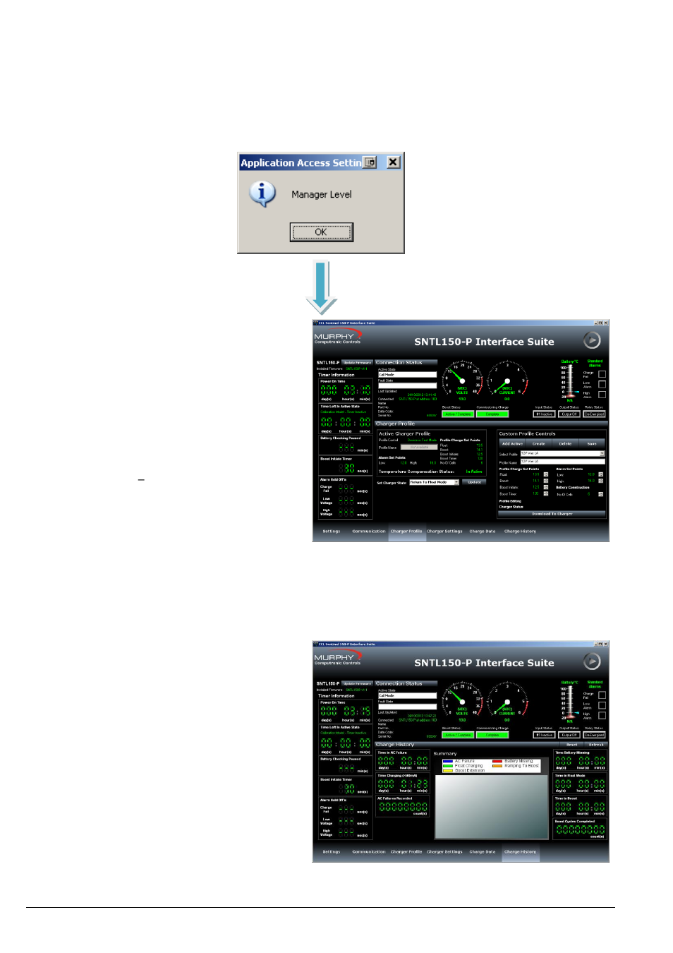 Manager view overview, Manager password, Charger profiles | Charger settings, Charger identification, Charge history | Computronic Controls Sentinel 150P User Manual | Page 16 / 28