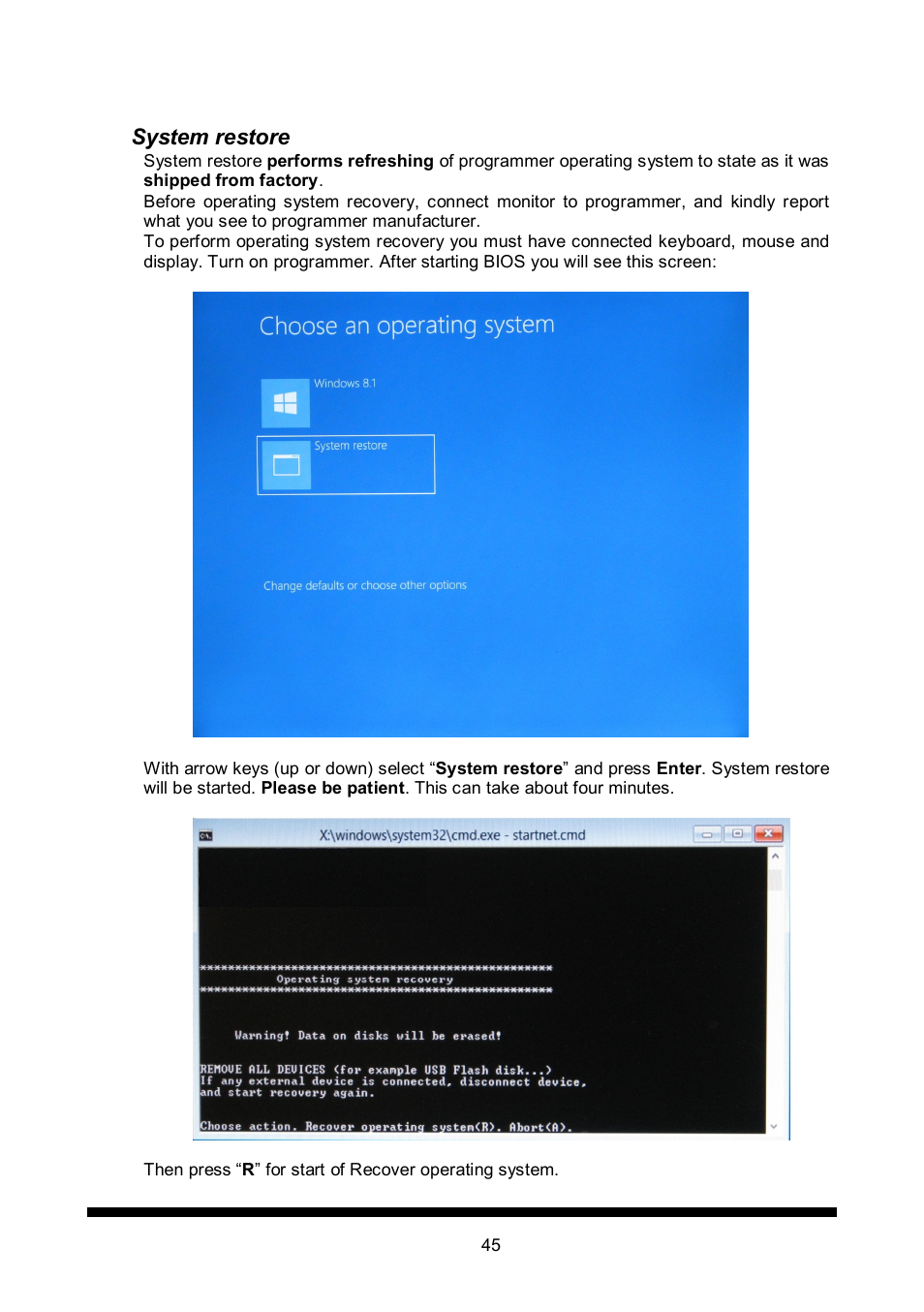 System restore | Dataman 848Pro2 User Manual | Page 45 / 50