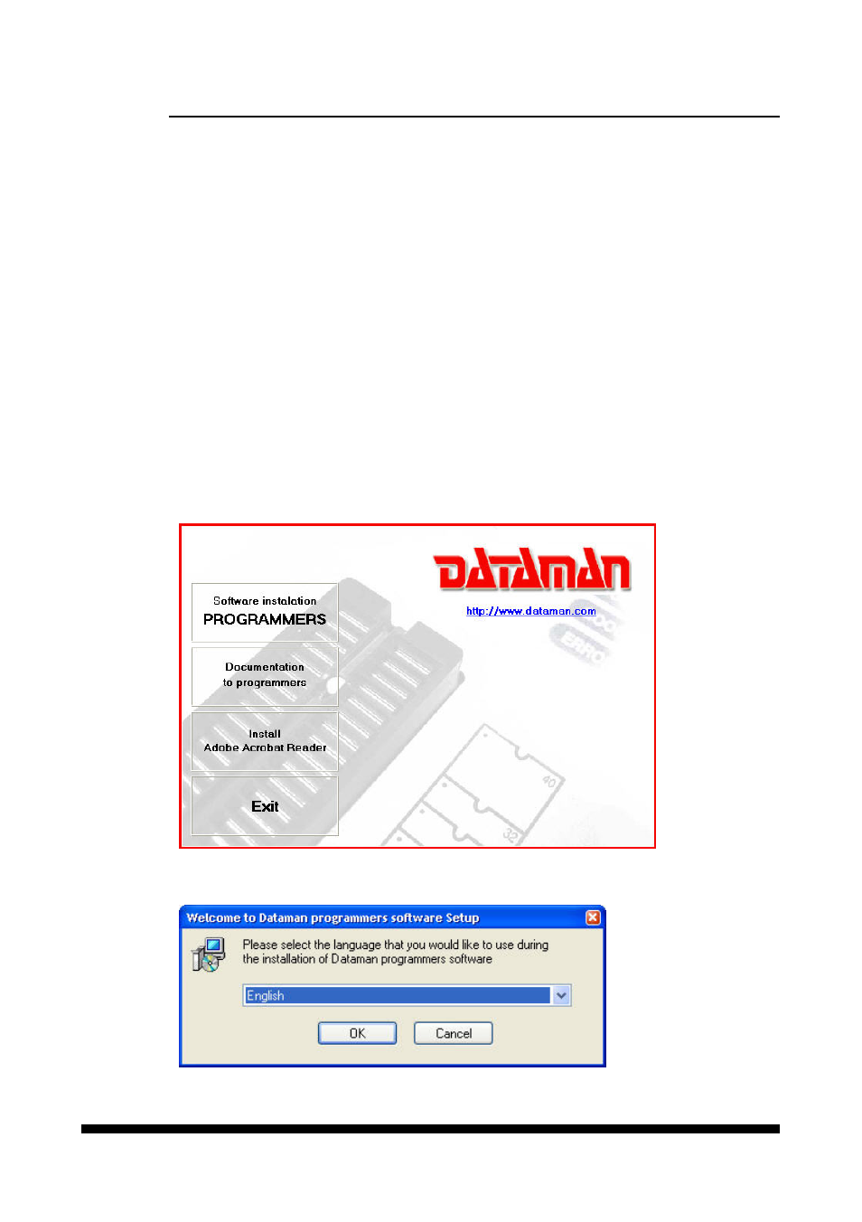 Setup, Software setup | Dataman 448Pro User Manual | Page 12 / 29