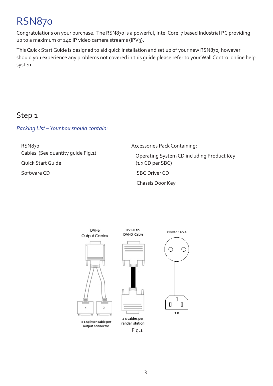 Rsn870, Step 1 | Datapath RSN870 User Manual | Page 3 / 14