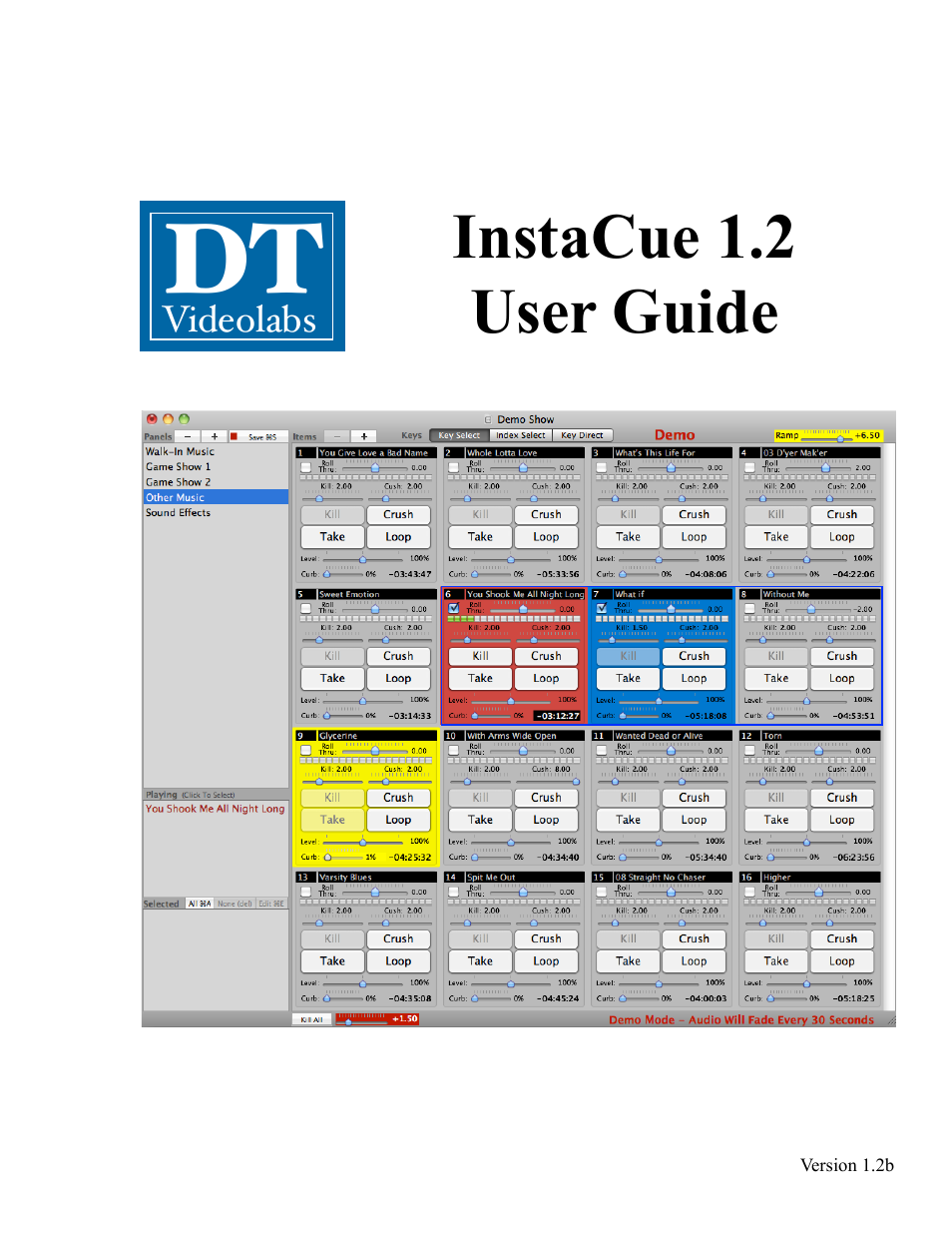 DT Videolabs InstaCue User Manual | 12 pages