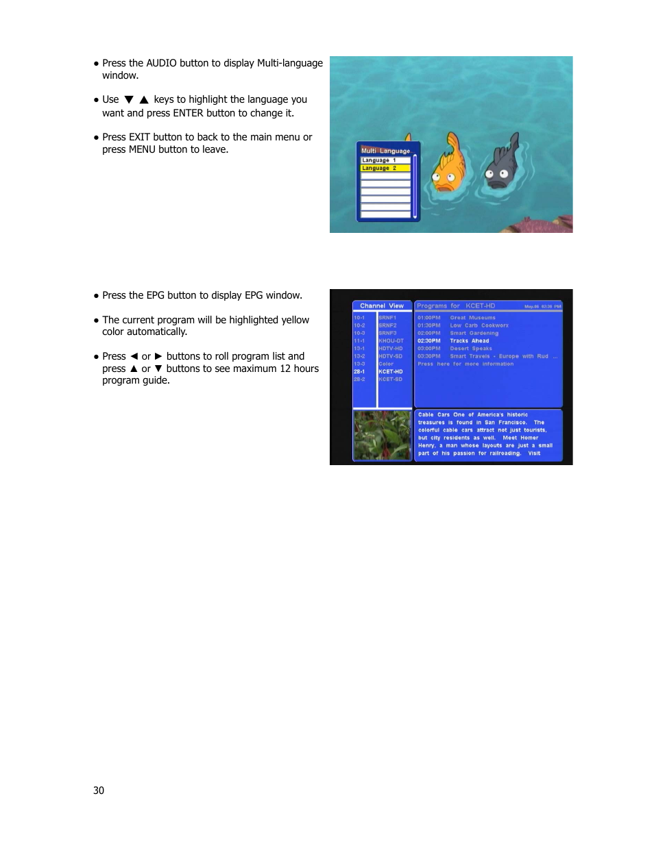 Epg (electric program guide) | Holland Electronics HDTV-ST2 User Manual | Page 31 / 37