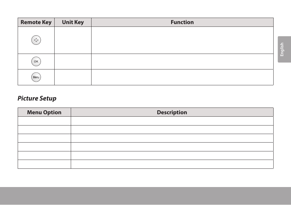 Picture setup | COBY electronic TFTV791 User Manual | Page 21 / 100