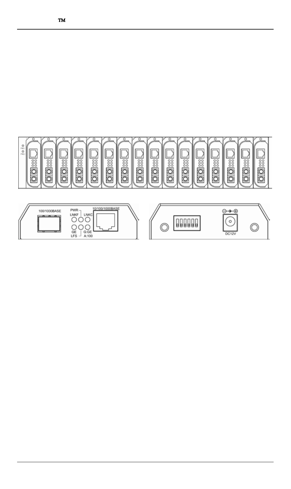 Product overview, Ntroduction, Roduct | Verview, Introduction | Signamax 10/100/1000BaseT/TX to 100/1000Base SFP Switching Media Converter User Manual | Page 6 / 12