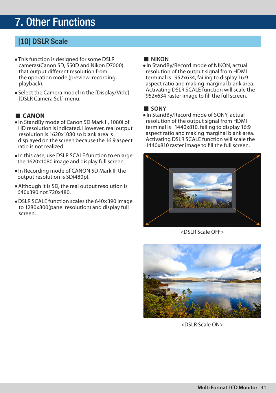Other functions, 10] dslr scale | TVLogic LVM-091W-3G User Manual | Page 31 / 40