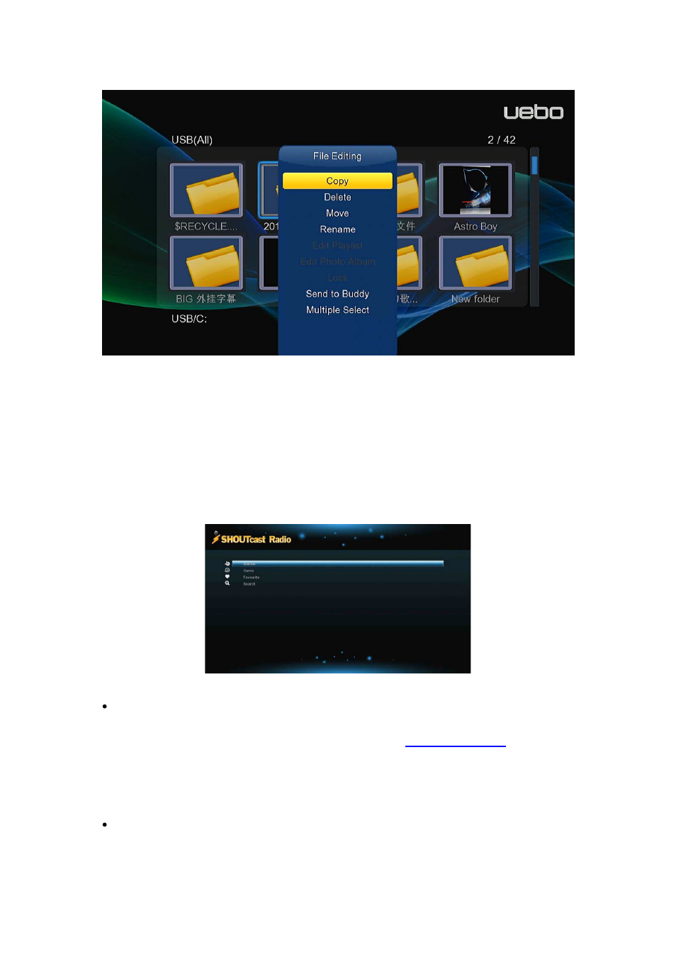 8 internet media, 1 shoutcast radio, Station | UEBO M400 WiFi 1080p User Manual | Page 48 / 59