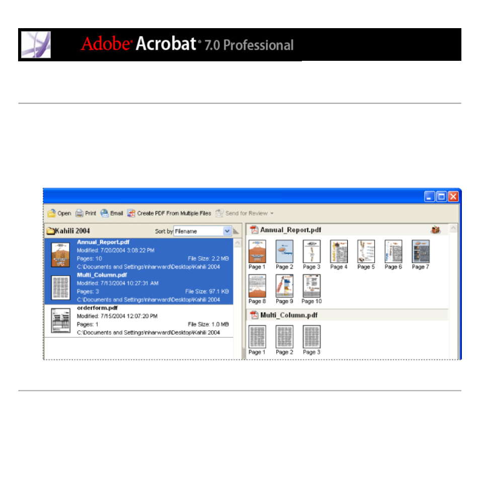 Viewing in organizer, Thumbnail views of, Viewing | Using the pages pane of the organizer window | Adobe Acrobat 7 Professional User Manual | Page 101 / 793