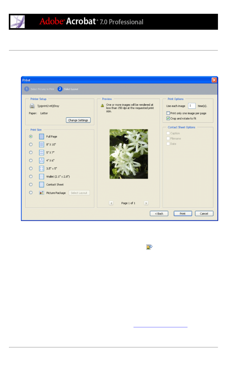 Printing pictures and projects on a local printer, Crop to match option, Layout sizes option | For printed pictures, Picture package, Cropping, Customizing layout, Print layout, Printing, Print sizes option | Adobe Acrobat 7 Professional User Manual | Page 540 / 793
