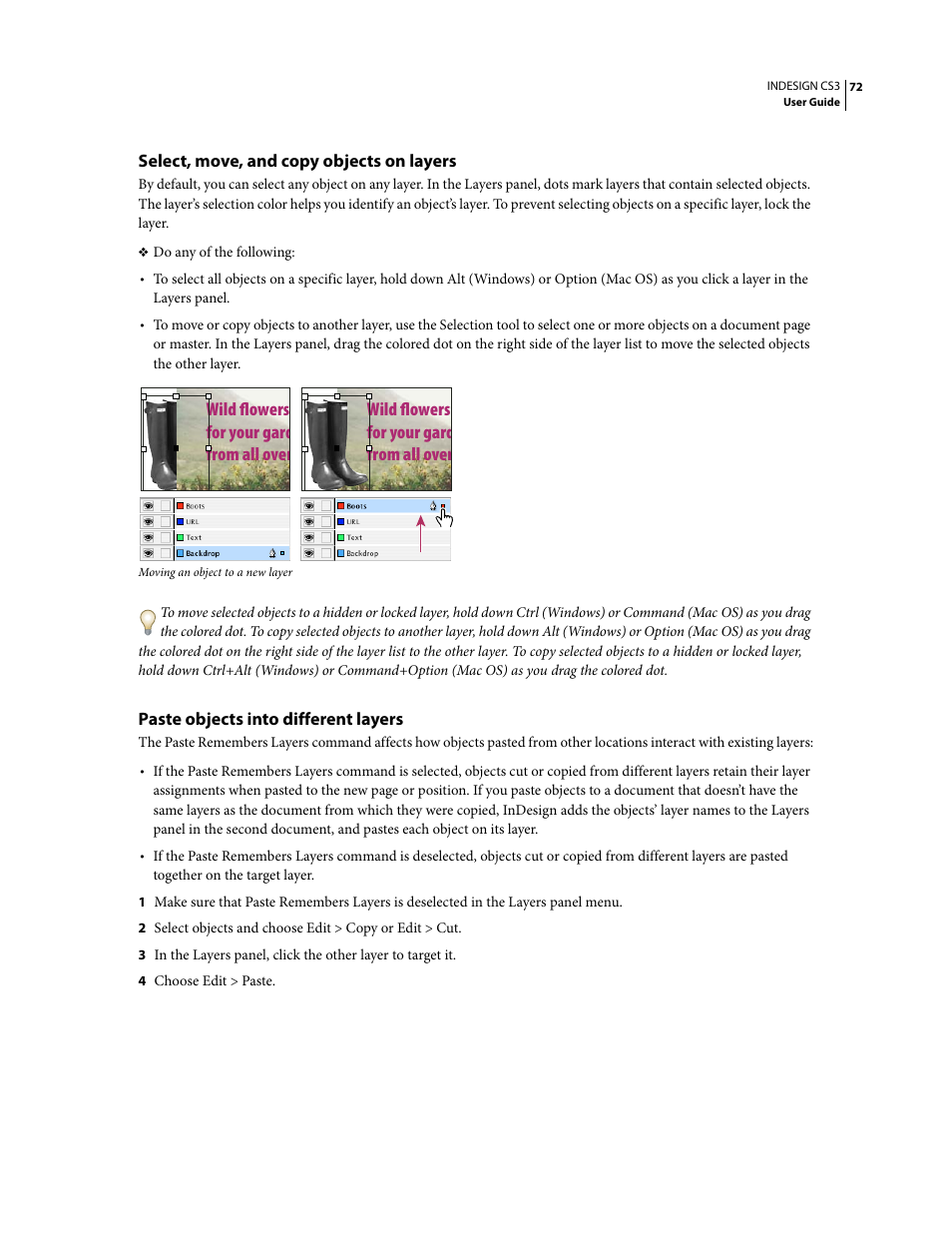Select, move, and copy objects on layers, Paste objects into different layers, Wild flowers for your gard from all over | Adobe InDesign CS3 User Manual | Page 79 / 672