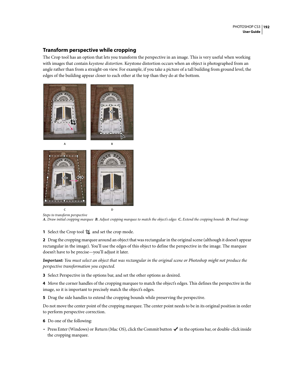 Transform perspective while cropping | Adobe Photoshop CS3 User Manual | Page 199 / 681