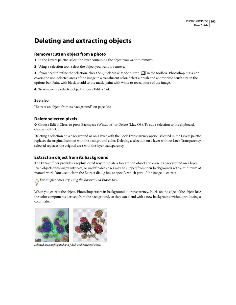 Deleting and extracting objects, Remove (cut) an object from a photo, Delete selected pixels | Extract an object from its background | Adobe Photoshop CS3 User Manual | Page 269 / 681