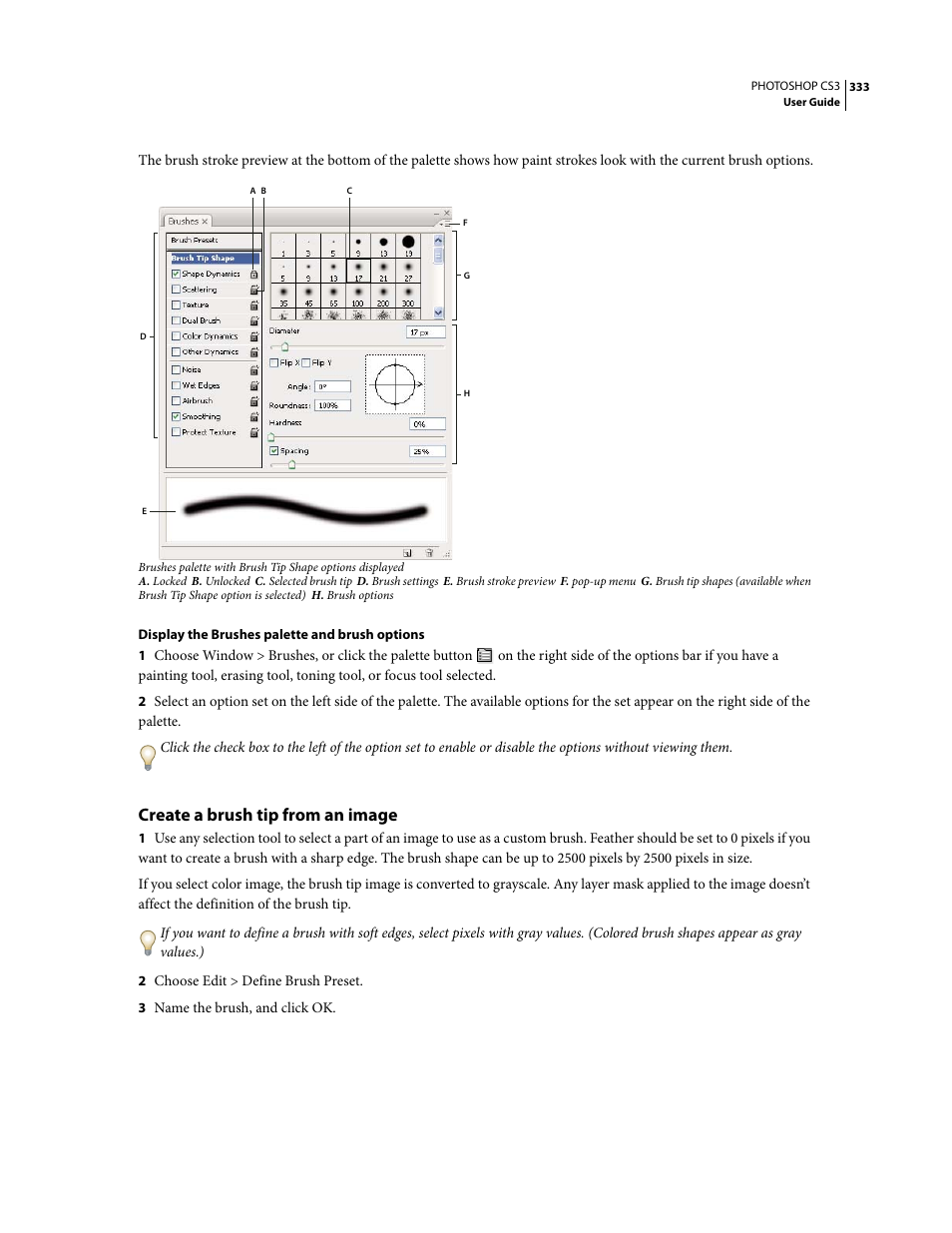 Create a brush tip from an image | Adobe Photoshop CS3 User Manual | Page 340 / 681