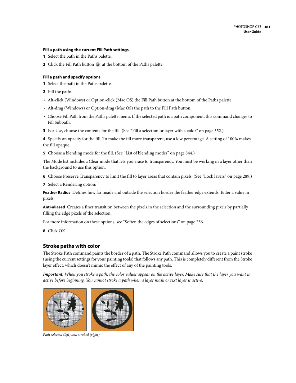 Stroke paths with color | Adobe Photoshop CS3 User Manual | Page 388 / 681