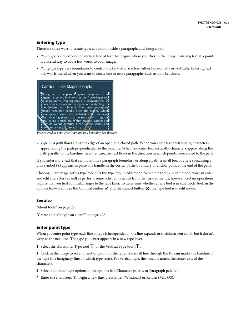 Entering type, Enter point type | Adobe Photoshop CS3 User Manual | Page 411 / 681