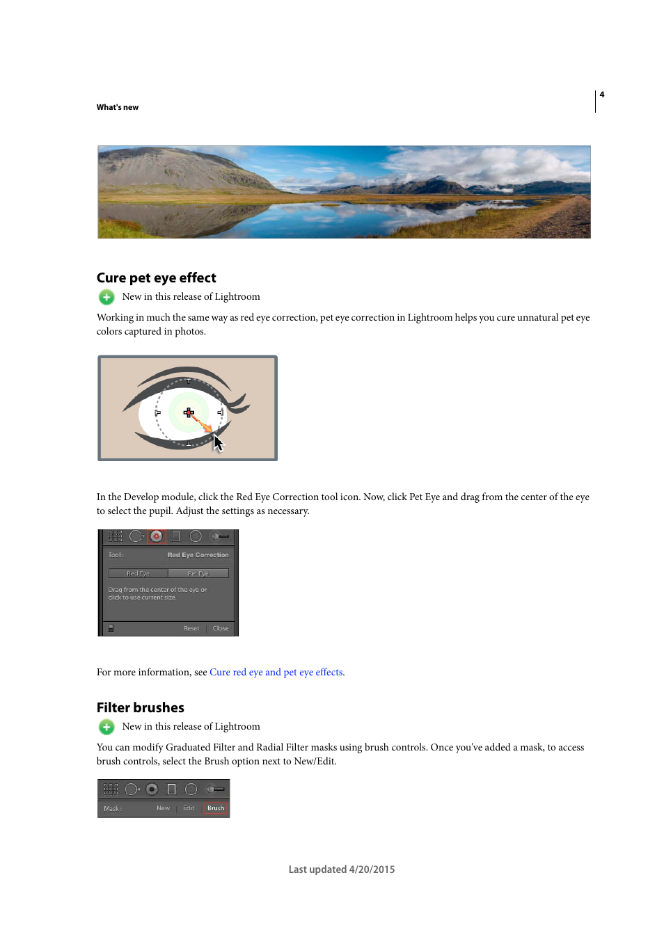 Cure pet eye effect, Filter brushes | Adobe Photoshop Lightroom CC User Manual | Page 9 / 261