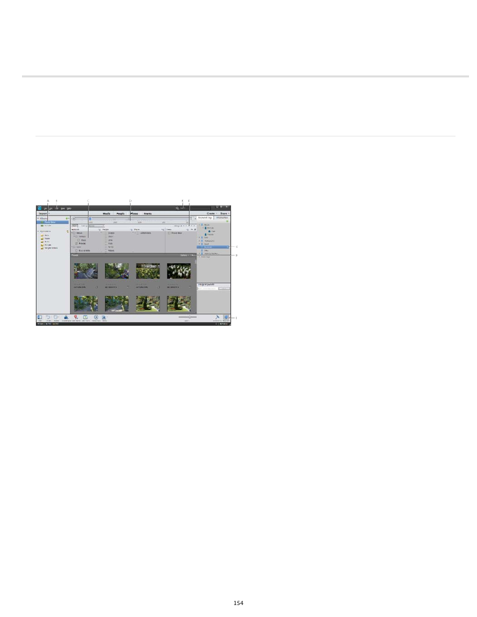 Searching for media files | Adobe Elements Organizer 12 User Manual | Page 157 / 238