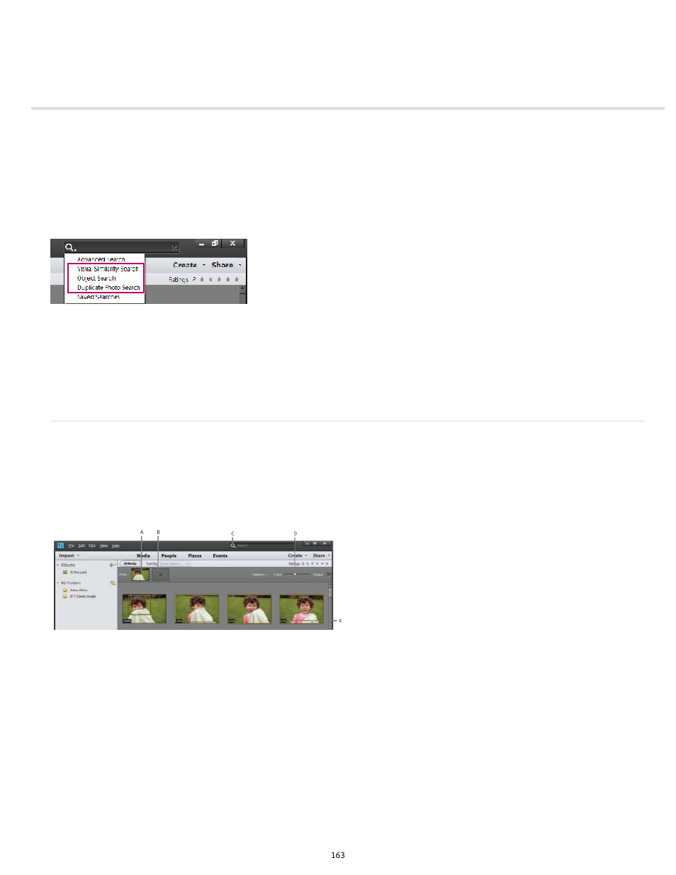 Search options to find media | Adobe Elements Organizer 12 User Manual | Page 166 / 238