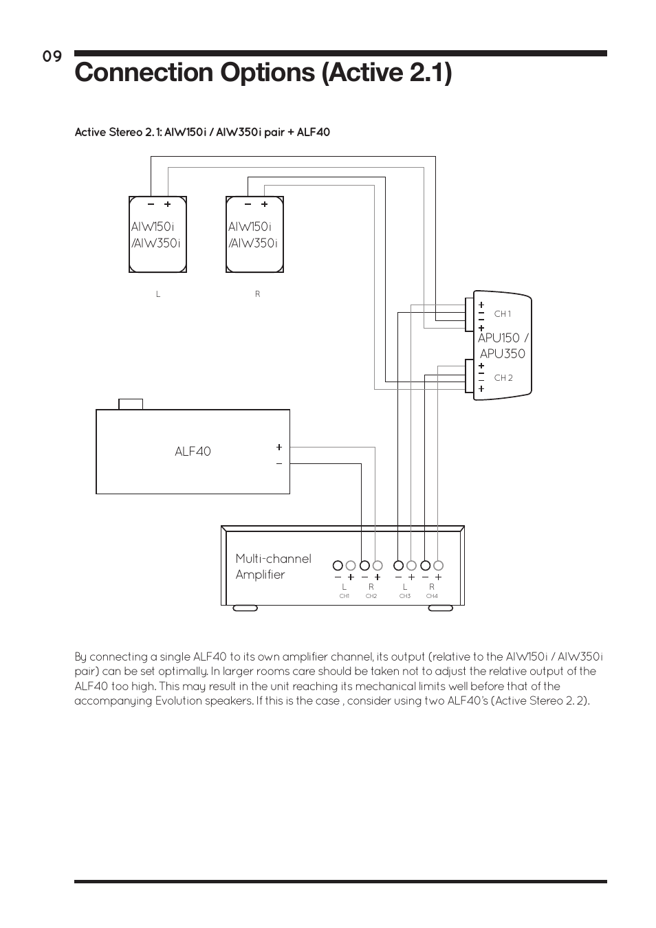 Connection options (active 2.1) | Amina ALF40 User Manual | Page 11 / 16