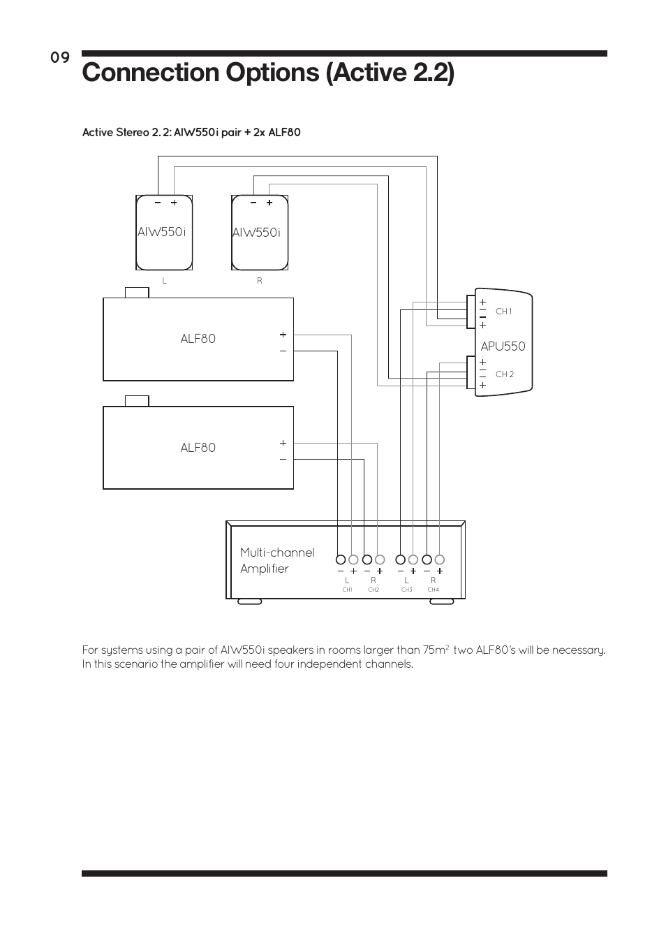 Connection options (active 2.2) | Amina ALF80 User Manual | Page 11 / 16