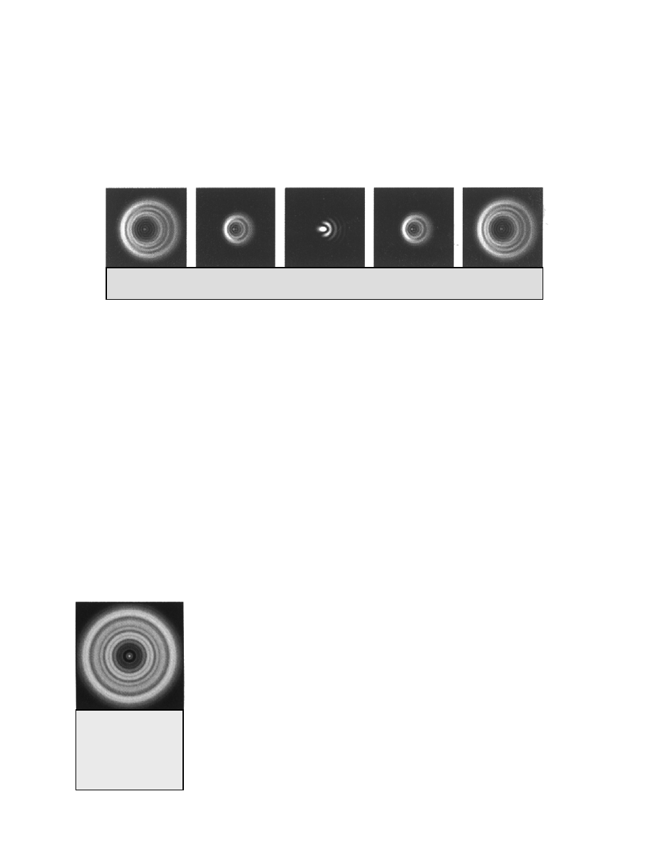 Celestron XLT series User Manual | Page 41 / 60