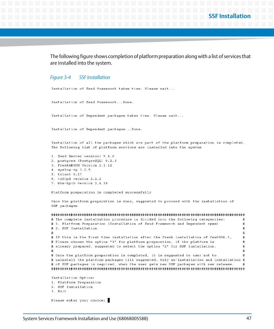 Figure 3-4, Ssf installation | Artesyn System Services Framework Installation and Use (February 2014) User Manual | Page 47 / 88