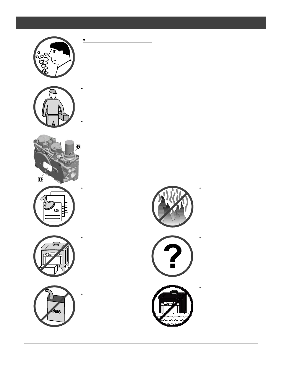 Safety precautions, If you smell gas | Avalon Firestyles Tree of Life User Manual | Page 4 / 58