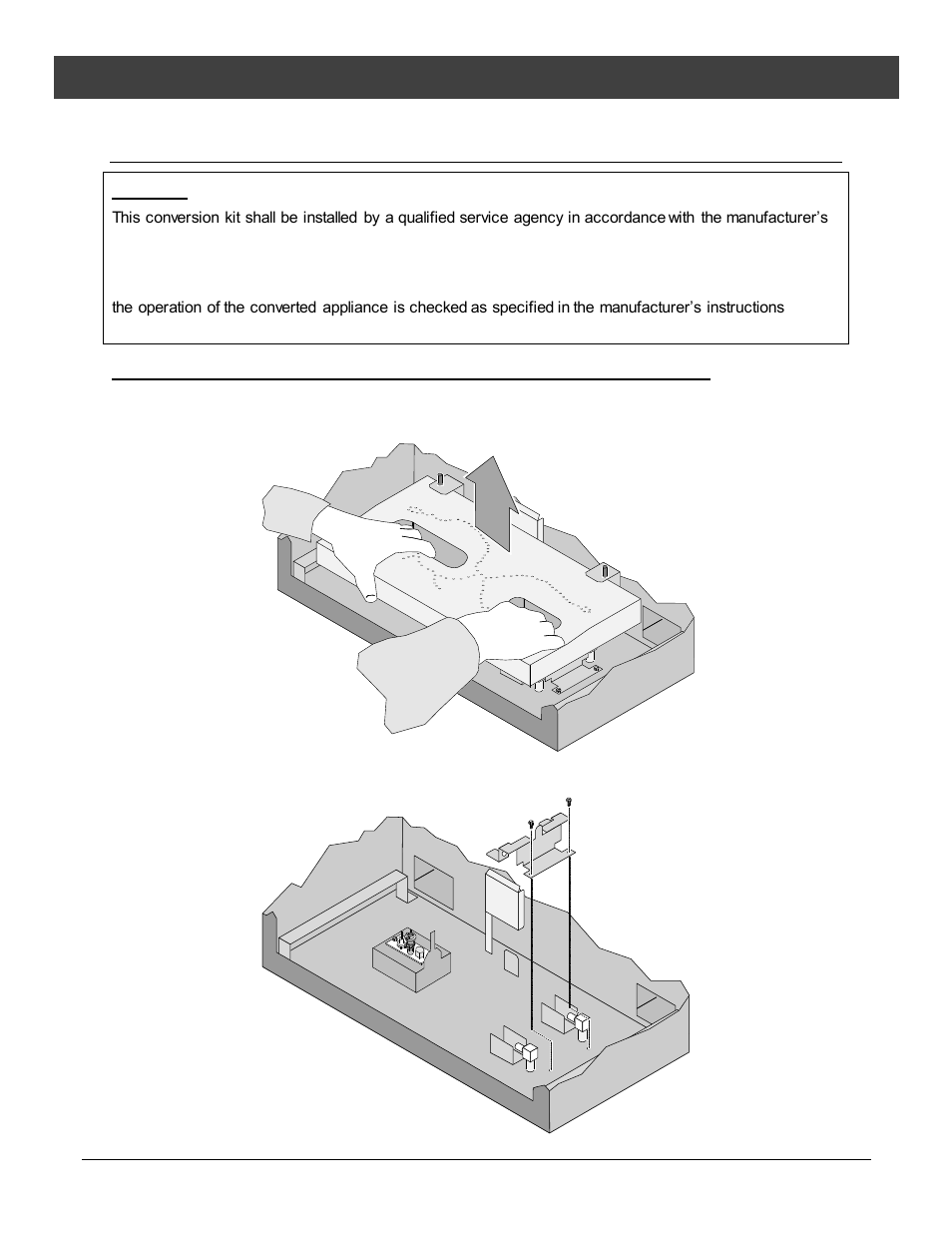 Lp conversion instructions, Optional equipment | Avalon Firestyles Tree of Life User Manual | Page 40 / 58