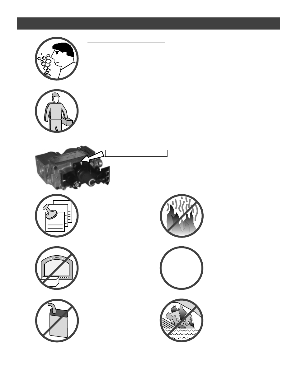 Safety precautions | Avalon Firestyles DVL Fireplace EF-2003 to 2007 User Manual | Page 4 / 46