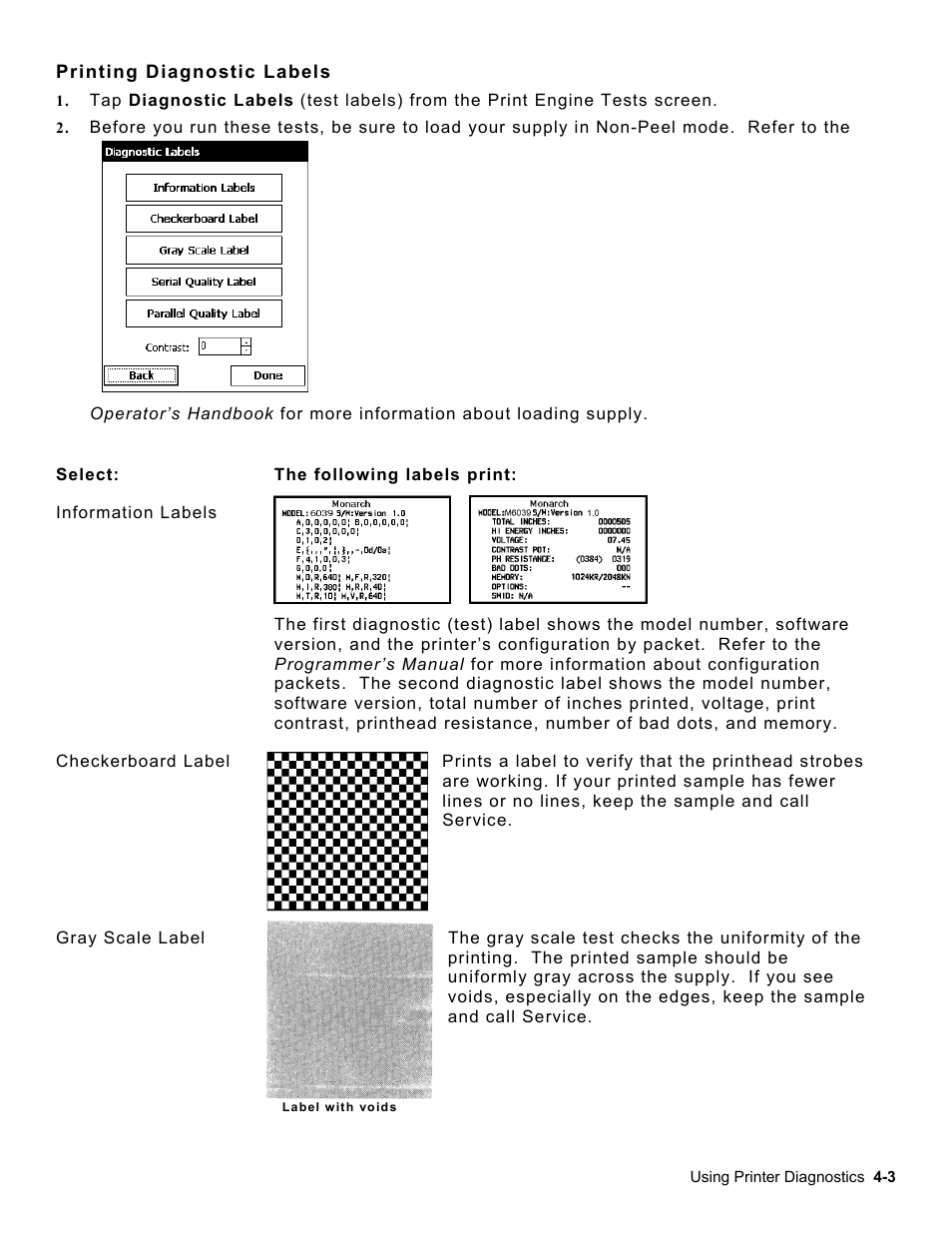 Printing diagnostic labels, Printing diagnostic labels -3 | Avery Dennison Platinum 6039 System Administrator Guide User Manual | Page 25 / 48