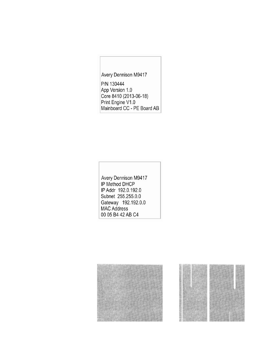 Version information, Network information, Gray scale | Avery Dennison FreshMarx 9417 System Administrator Guide User Manual | Page 56 / 70