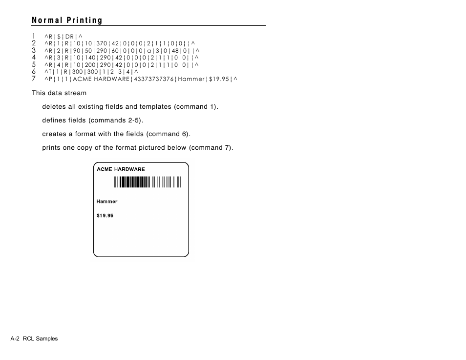 Avery Dennison Sierra Sport2 9460 RCL Commands Programmer Manual User Manual | Page 70 / 84