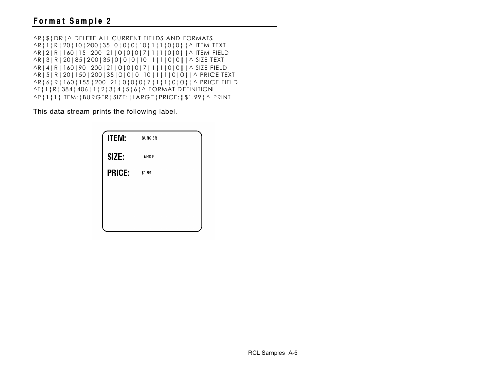 Avery Dennison Sierra Sport2 9460 RCL Commands Programmer Manual User Manual | Page 73 / 84