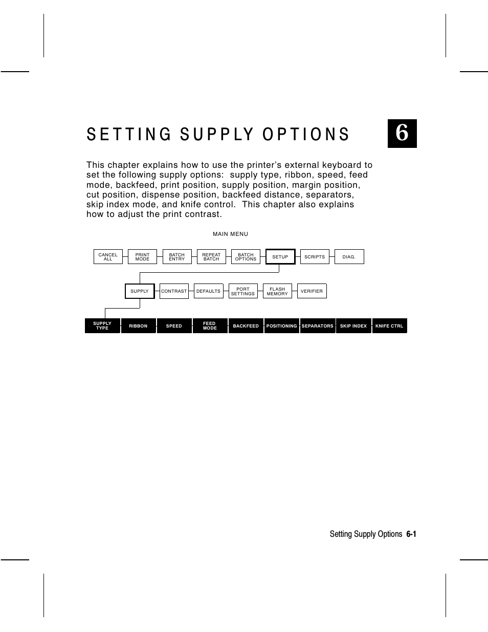 Setting supply options 6-1 | Avery Dennison Monarch 9860 Operator Handbook User Manual | Page 39 / 118