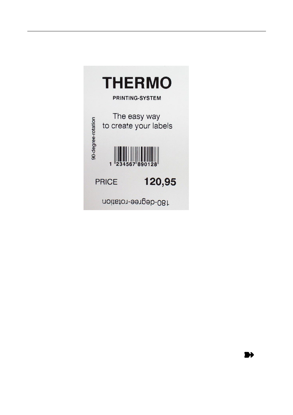 Program example | Avery Dennison Monarch 9864 Command Overview User Manual | Page 22 / 26