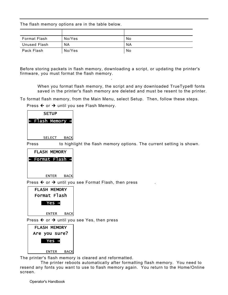 Using flash memory, Formatting flash memory, Using flash memory -10 | Formatting flash memory -10 | Avery Dennison Monarch 9906 Operator Handbook User Manual | Page 62 / 116