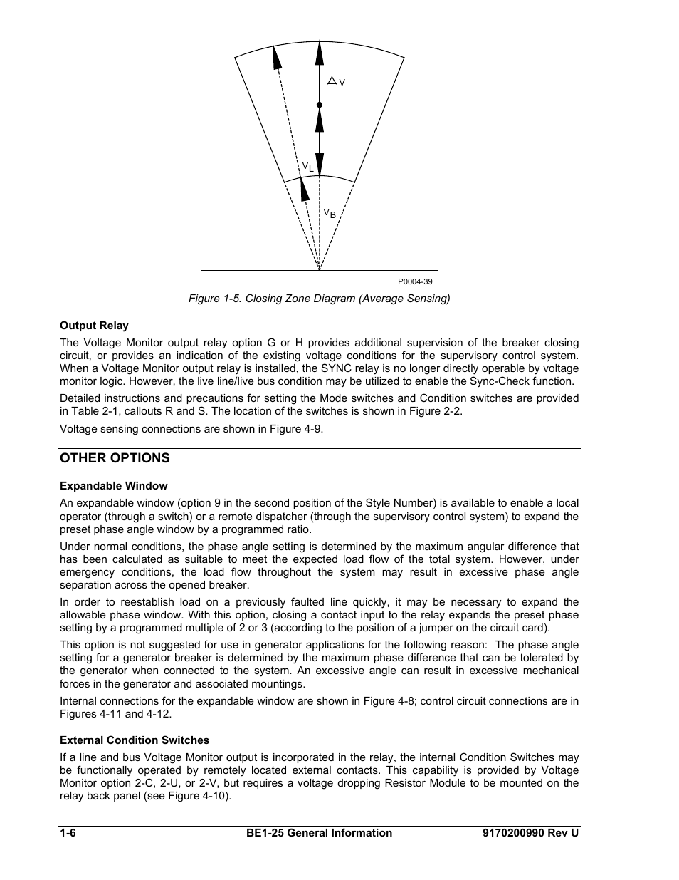 Output relay, Other options, Expandable window | External condition switches, Output relay -6, Other options -6, Expandable window -6, External condition switches -6 | Basler Electric BE1-25 User Manual | Page 16 / 66