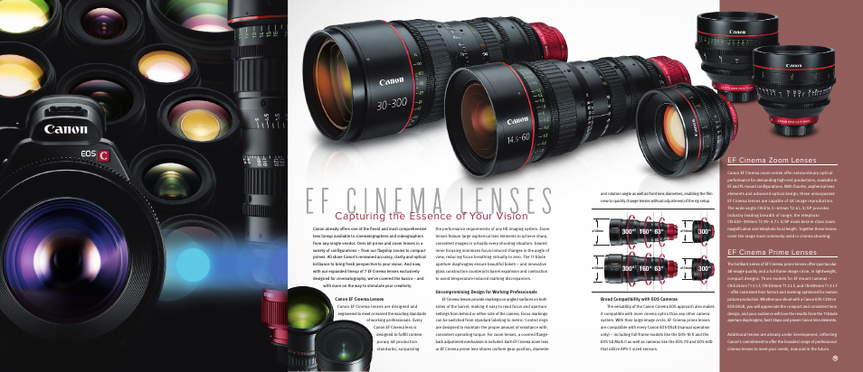 Capturing the essence of your vision, Ef cinema zoom lenses, Ef cinema prime lenses | Canon EOS C300 PL User Manual | Page 9 / 19