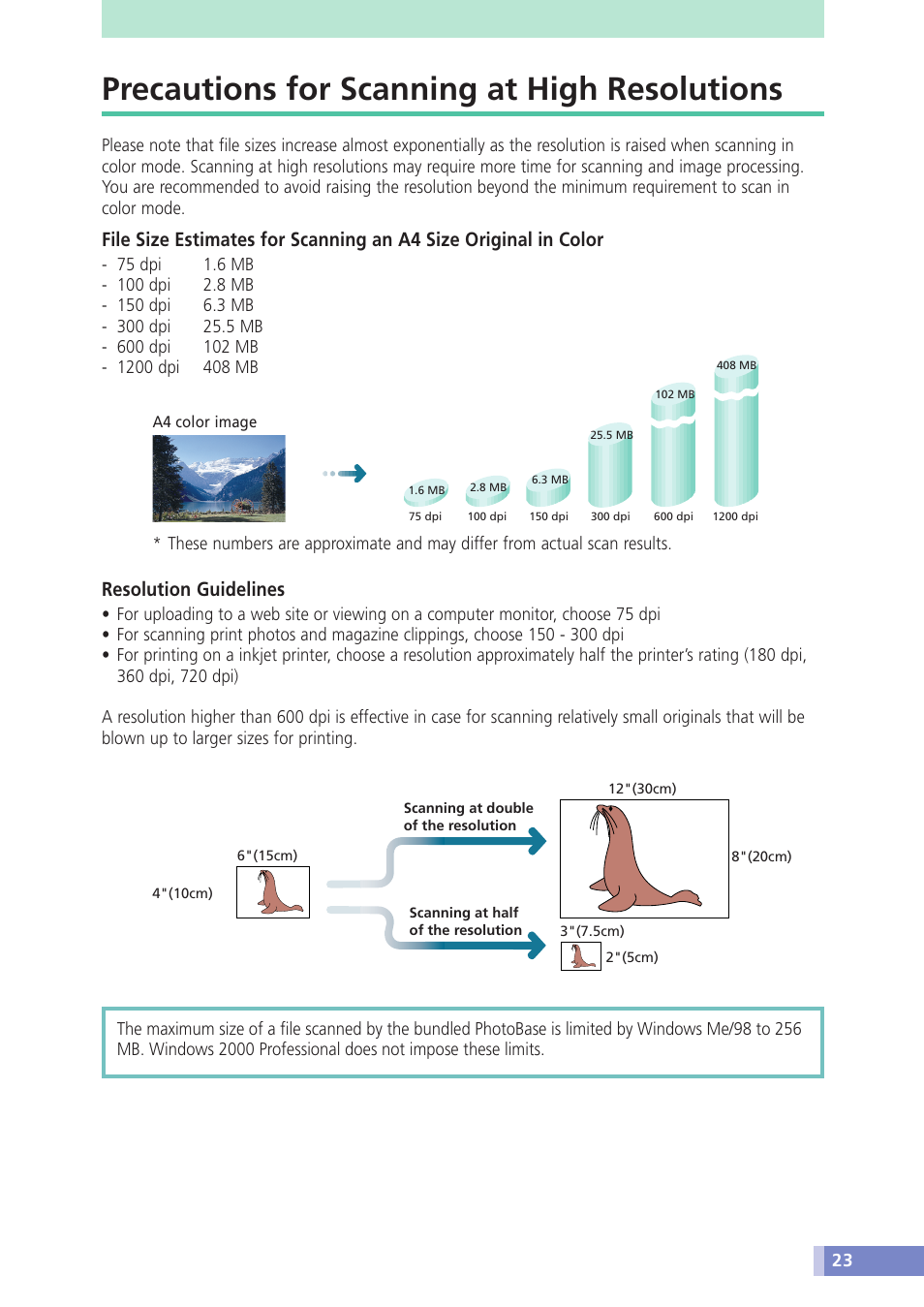 Precautions for scanning at high resolutions, Resolution guidelines | Canon D1230U/D2400U User Manual | Page 23 / 24