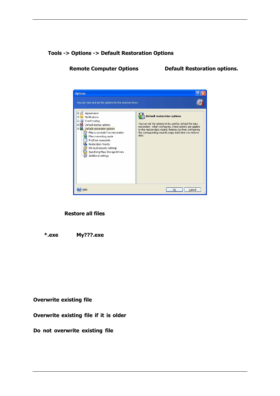 4 setting restore options, 1 files to exclude from restoration, 2 files overwriting mode | Setting restore options, 4 setting restore, Options | Acronis True Image 9.1 Enterprise Server - User Guide User Manual | Page 69 / 115