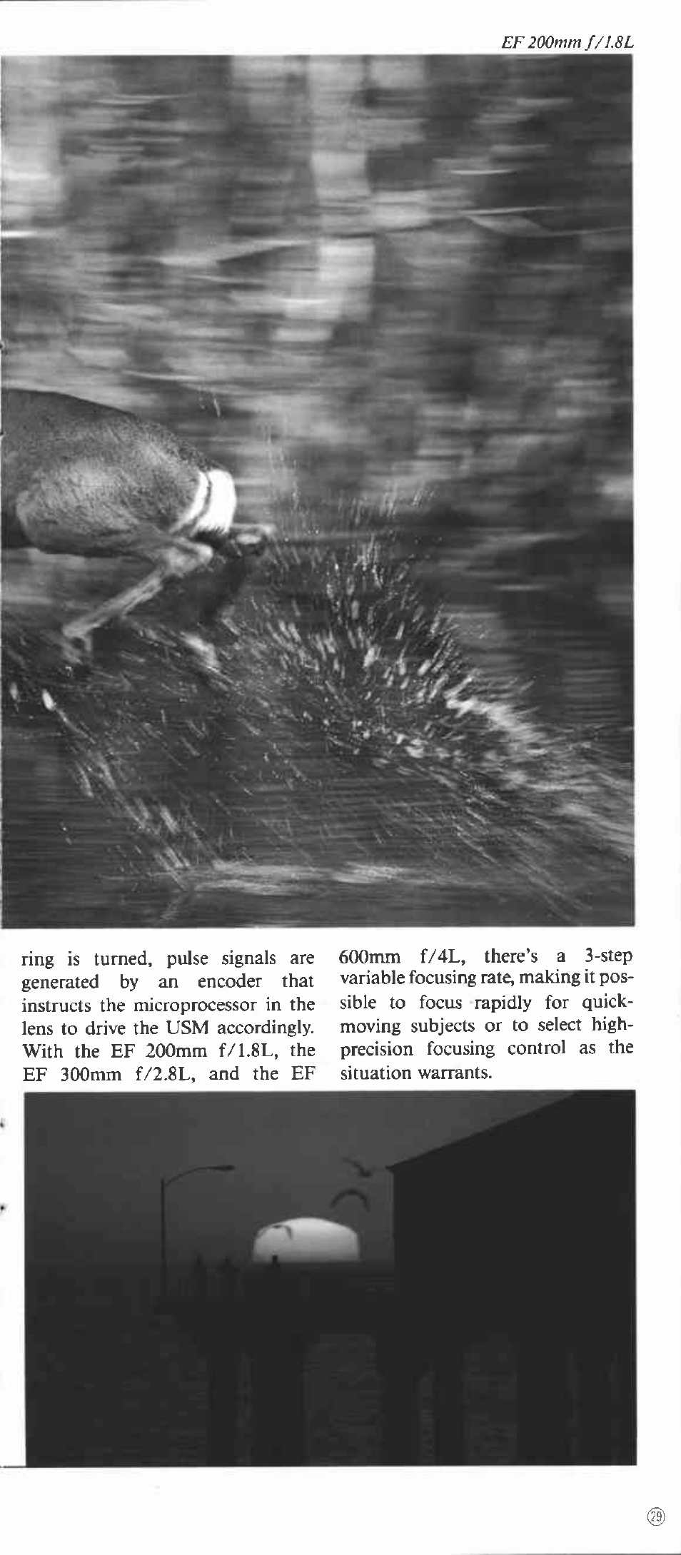 Ef 200mm j/i.8l | Canon EOS-1 User Manual | Page 29 / 44