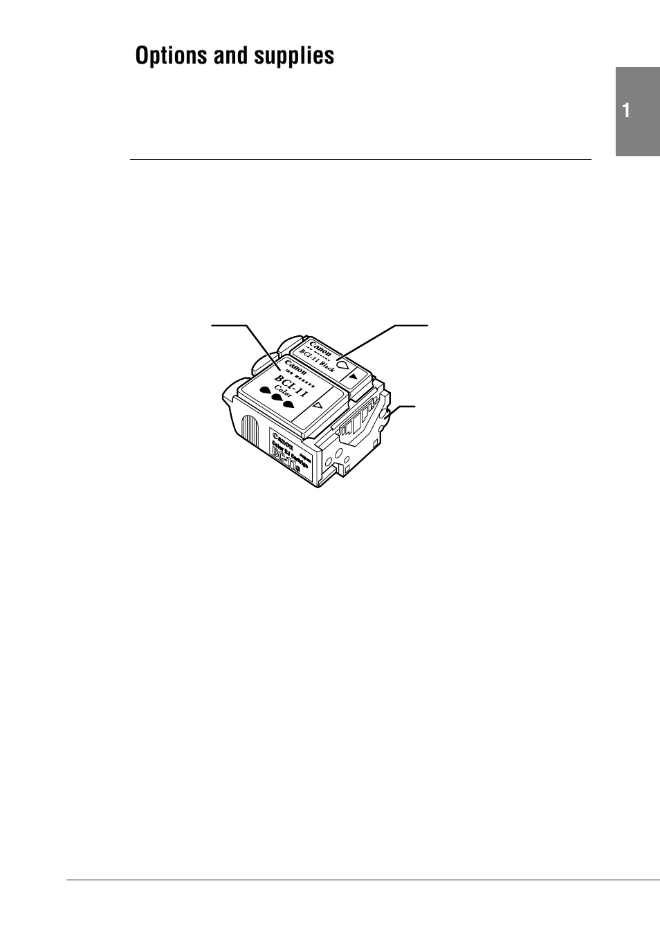 Options and supplies, Bj cartridges and ink cartridges | Canon BJC-55 User Manual | Page 21 / 181