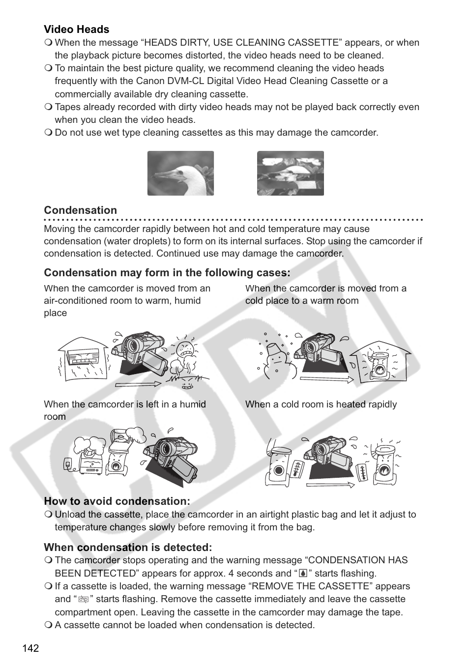 Canon ELURA 85 User Manual | Page 142 / 160