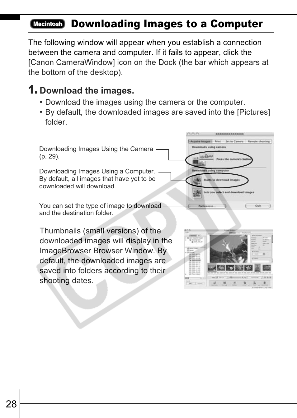 Downloading images to a computer | Canon A570 IS User Manual | Page 30 / 35
