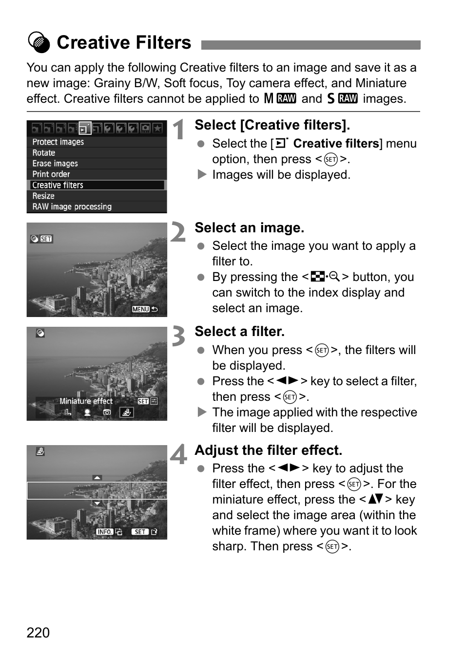 Creative filters | Canon EOS 60D User Manual | Page 220 / 320