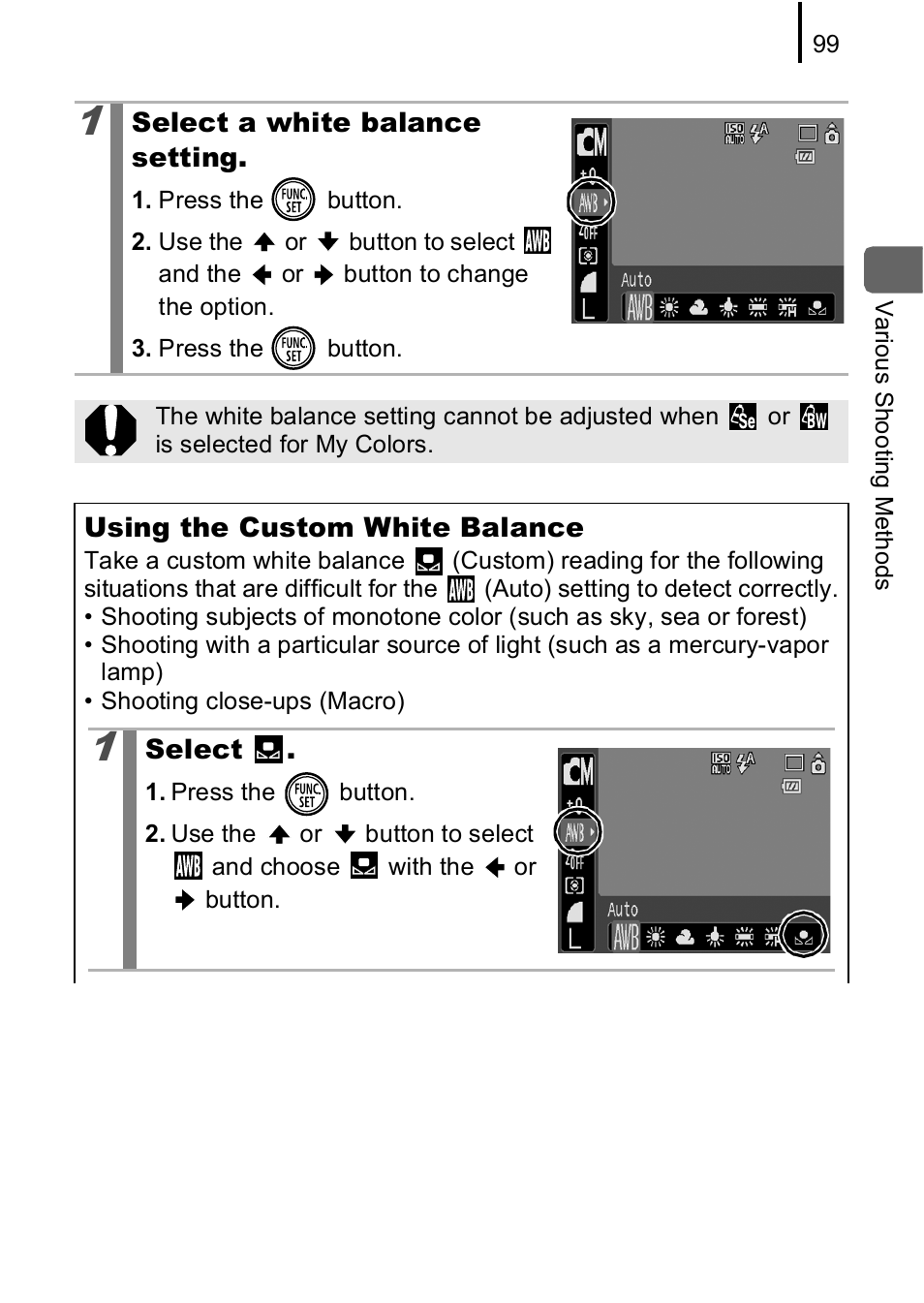 Canon IXUS 85 IS User Manual | Page 101 / 224