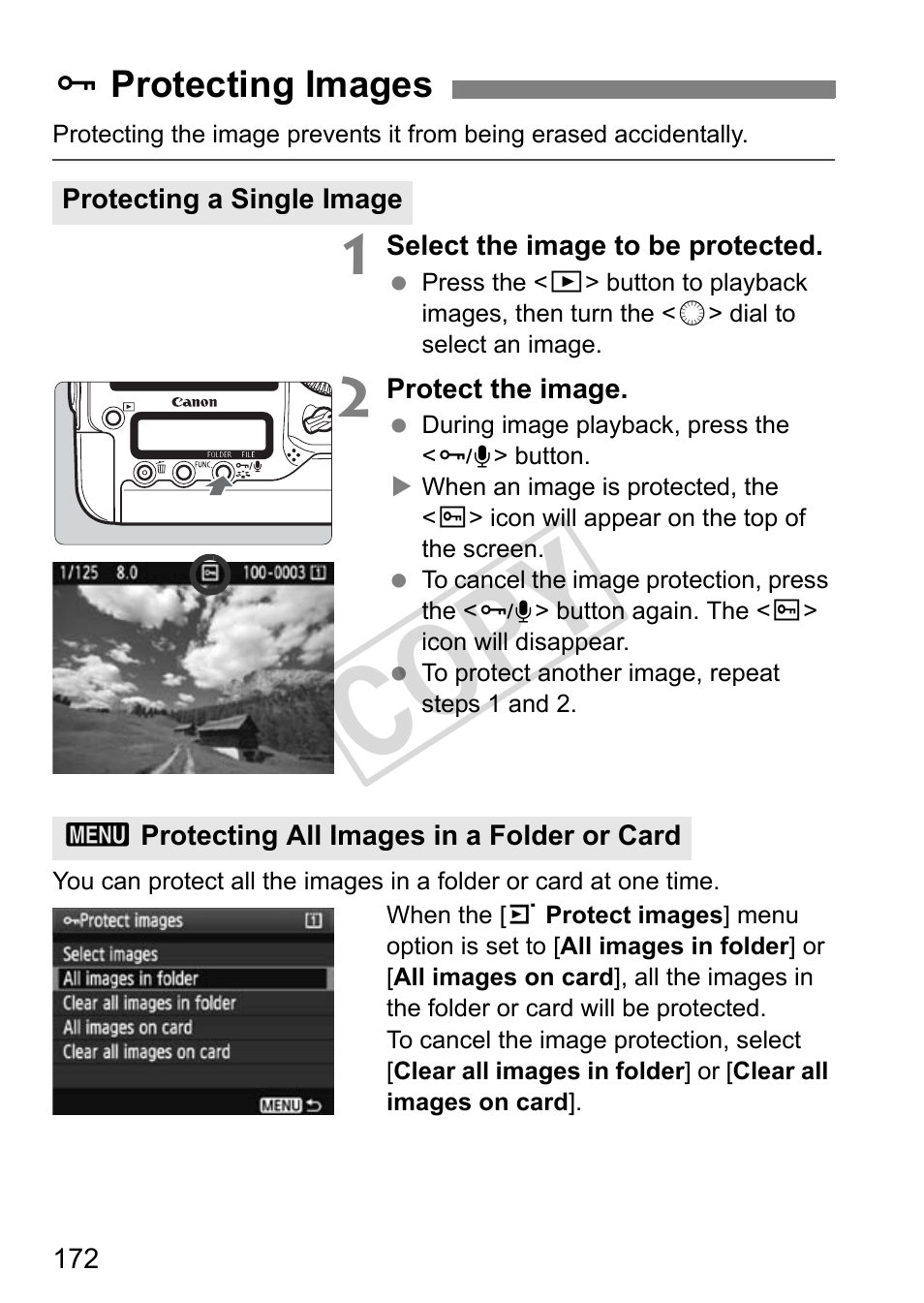Cop y | Canon EOS 1D User Manual | Page 172 / 276