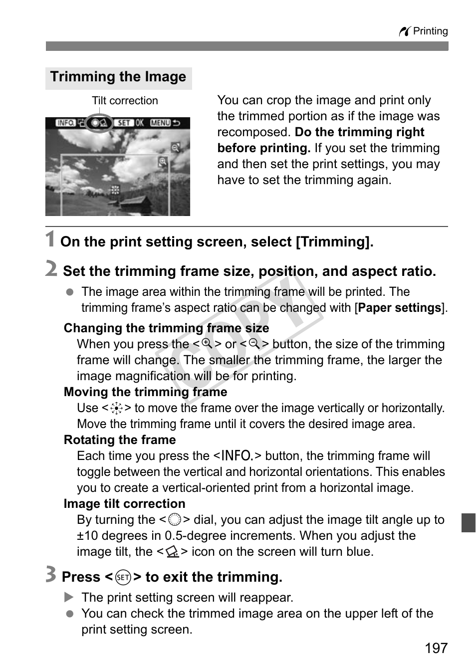 Cop y | Canon EOS 1D User Manual | Page 197 / 276