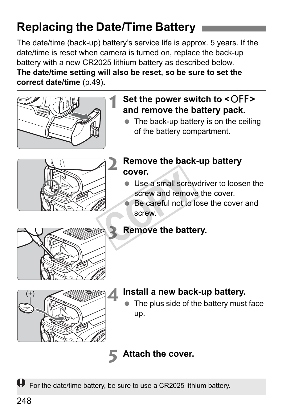 Cop y | Canon EOS 1D User Manual | Page 248 / 276