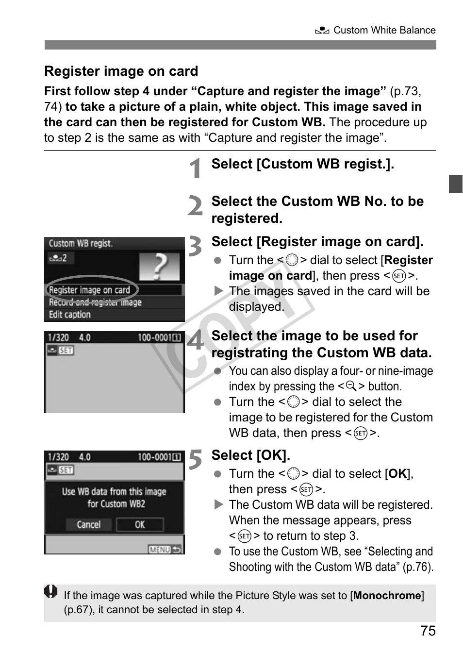 Cop y | Canon EOS 1D User Manual | Page 75 / 276